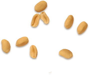 nuts